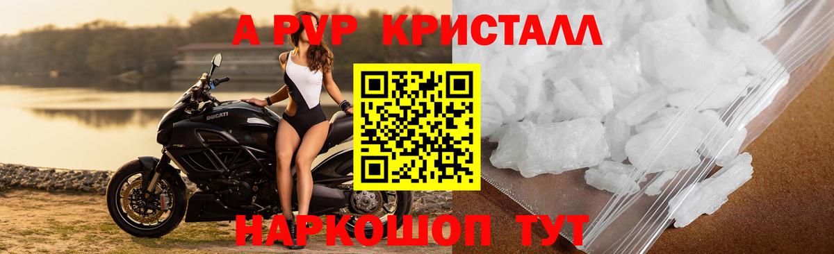 APVP СК КРИС Ачхой-Мартан