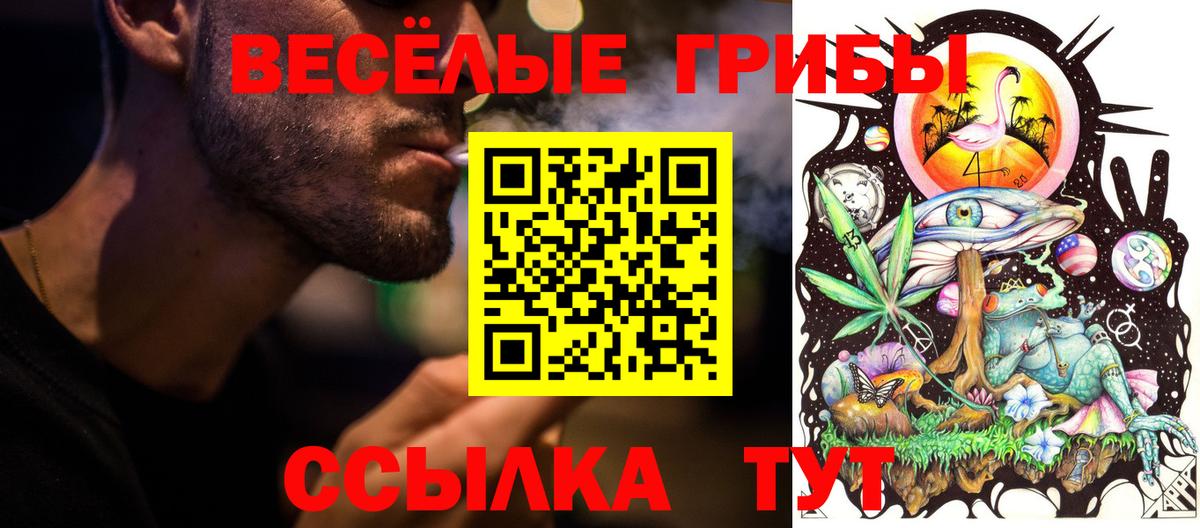 Ачхой-Мартан  Псилоцибиновые грибы прущие грибы  Вход с VPN 